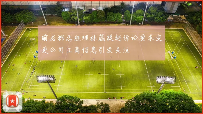 前龙狮总经理林葳提起诉讼要求变更公司工商信息引发关注